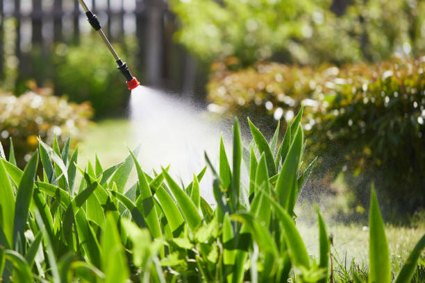 24/7 Emergency Wasp Removal experts in Pine Brook, NJ