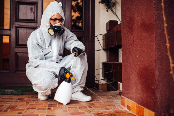 Reliable Wasp Removal contractor in Pine Brook, NJ by Show Me Pest Control